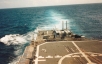 Sea Sparrow